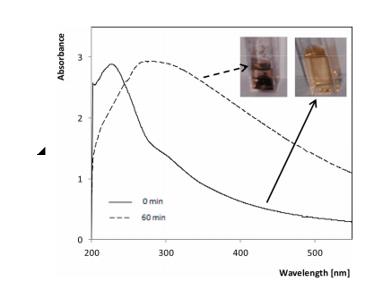 �ι���ub8�������¿��ж�̬(2021-01)