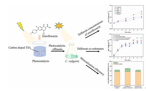 �ι���ub8�������¿��ж�̬(2022-02)