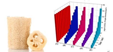 ���ι���|UB8���ι���|��������δ��