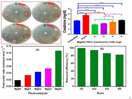 �ι���ub8�������¿��ж�̬(2021-02)