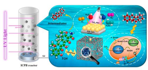 ���ι���|UB8���ι���|��������δ��