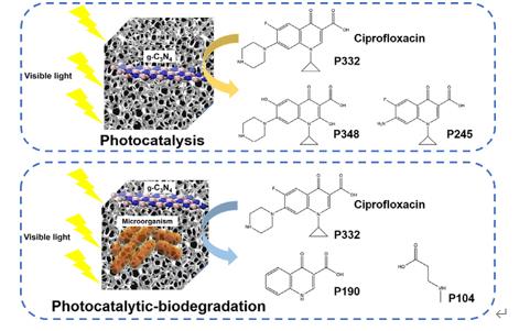 ���ι���|UB8���ι���|��������δ��