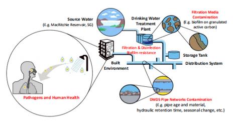 ���ι���|UB8���ι���|��������δ��