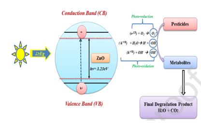 ���ι���|UB8���ι���|��������δ��