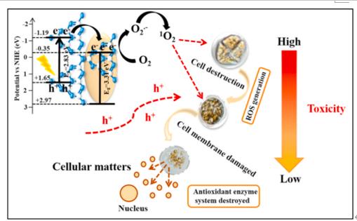�ι���ub8�������¿��ж�̬(2021-12)