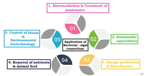 ���ι���|UB8���ι���|��������δ��