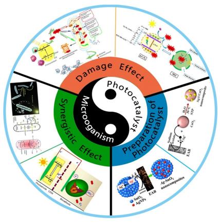 ���ι���|UB8���ι���|��������δ��