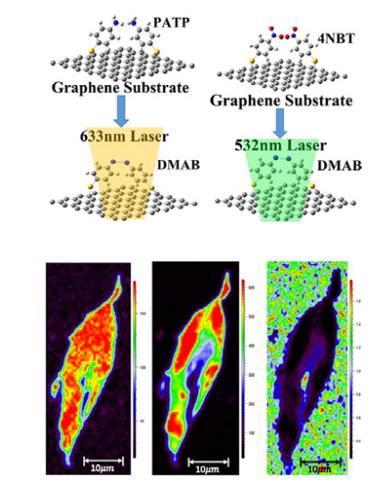 ���ι���|UB8���ι���|��������δ��