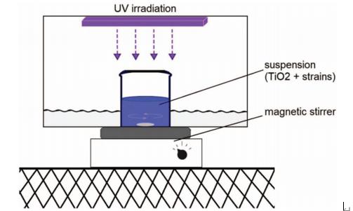 ���ι���|UB8���ι���|��������δ��