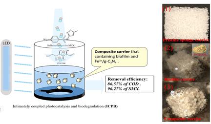 �ι���ub8�������¿��ж�̬(2022-05)