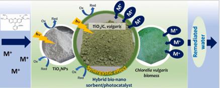 �ι���ub8�������¿��ж�̬(2022-03)