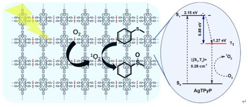 ���ι���|UB8���ι���|��������δ��