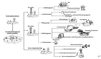 ���ι���|UB8���ι���|��������δ��