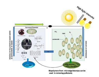 ���ι���|UB8���ι���|��������δ��