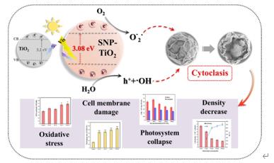 �ι���ub8�������¿��ж�̬(2022-04)