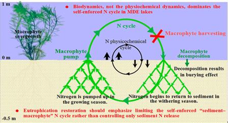 ���ι���|UB8���ι���|��������δ��