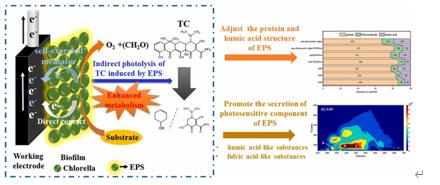 ���ι���|UB8���ι���|��������δ��