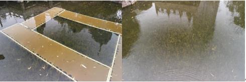 ���ι���|UB8���ι���|��������δ��