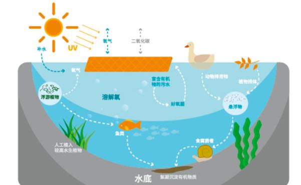 ʯīϩ��߻���Ĥ