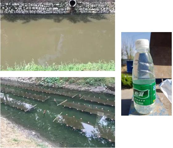 ��ȾԴ��������̬����