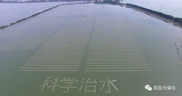 2022�ꡰ������������������������嵥����һ����