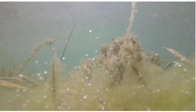 ��������������ر�ˮ��̬�޸�Ϊȫʡ��ʮ���淶�ж������ˮ��̬�޸�����Ψһ�ٻ񡰹㶫ʡ�׽������ռ���̬�޸�ʮ��淶��������Ŀ