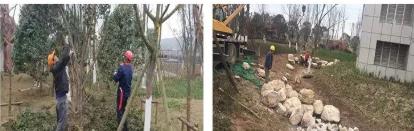 �ɶ���Ŀ���´�ʩ��æ