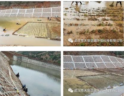 ����˫��βˮ����ˮ�ʾ�������