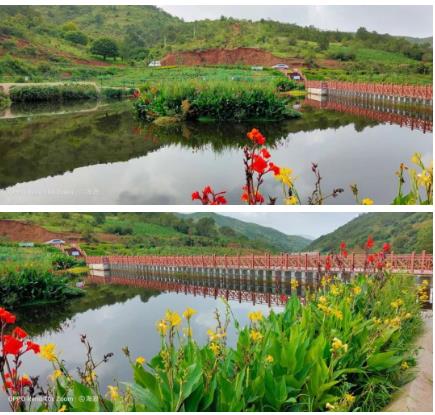 �����������������������۹���˫��βˮ����