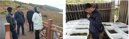 ר������ָ��������Ŀ�̻�����ϣ��˳��