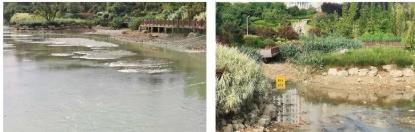 ���ι���|UB8���ι���|��������δ��