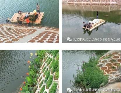 ���ڰ�������ЩС֪ʶ