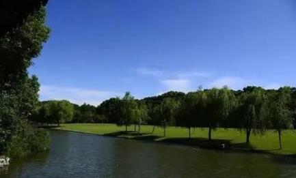 С����ˮ��Ⱦ�ۺ�����ս��