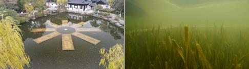 �ƽ���̬��������ϵͳ�����������ִ���