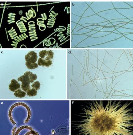 ���ι���|UB8���ι���|��������δ��