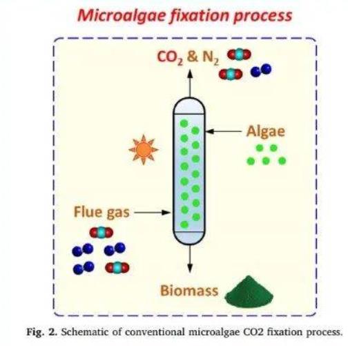 ���ι���|UB8���ι���|��������δ��