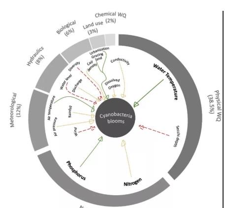 ��Ҫչ������