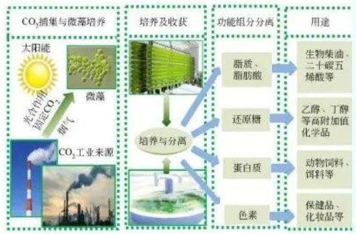 ���ι���|UB8���ι���|��������δ��