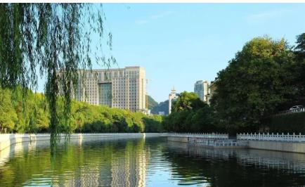 ��ʵ�о�׼���������ӻ�������