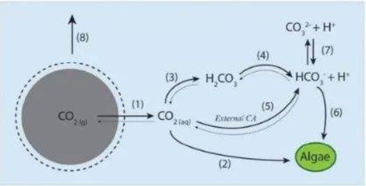 ���ι���|UB8���ι���|��������δ��