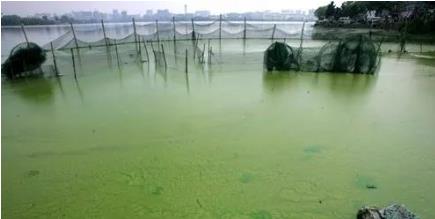 �������������������°�������ˮ��̬����