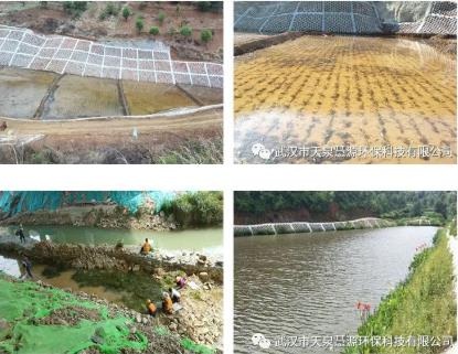 ��2025�������������������������������ũ��ڳ�ˮ��