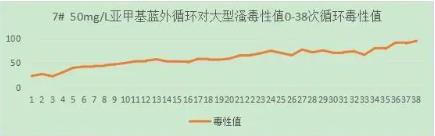 ���ι���|UB8���ι���|��������δ��