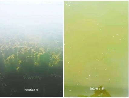 ������������֮�ٺ��Խ�ɬ��-���Ӻ�����ݽ�������ʾ¼