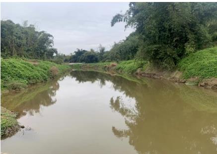 ����ˮ�ݷ�ï��ˮ��pHΪ�����ס����ꡱ����������������