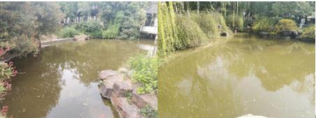 ��������Ϊʲôˮ��̬�ǽ�������������������