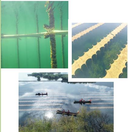 �ڳ�ˮ������Ҫץ���ۺϼƻ���ƺ������辶ѡ��