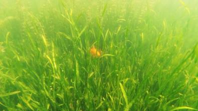 ʲô���ˮ�����ۺ�����δ��������������