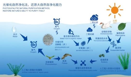 ������ˮƽ���������������������������