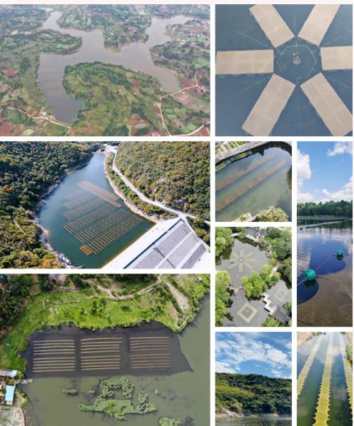 ʯīϩ��߻���1���¾��ָܻ���������